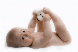 teddy